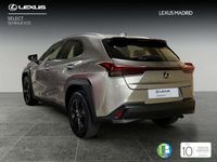 usado Lexus UX 250h Business 2WD