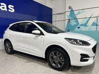 Usado Ford Kuga ST-Line 225 CV (165 kW) 2023 Blanco SUV