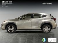 usado Lexus NX300h Business 2wd