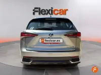 Usado Lexus NX300h Business Edition 197 CV (144 kW) 2021 Gris SUV