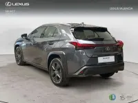 Usado Lexus UX 300h 199 CV (146 kW) 2025 Gris SUV