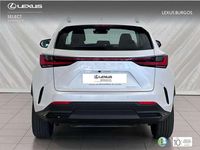 Usado Lexus NX350h 242 CV (177 kW) 2024 Blanco SUV