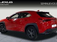 usado Lexus UX 250h Business 2wd