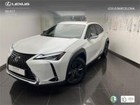 Usado Lexus UX 250h Business Edition 184 CV (135 kW) 2023 Blanco SUV