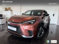 Usado Lexus LBX 136 CV (100 kW) 2026 Marrón SUV