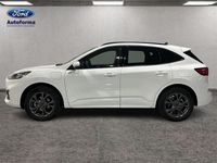 Usado Ford Kuga ST-Line 225 CV (165 kW) 2022 Blanco SUV