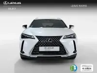 Usado Lexus UX 199 CV (146 kW) 2025 Blanco SUV