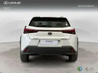 Usado Lexus UX 300h 2026 Blanco SUV