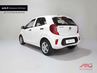 Usado Kia Picanto 67 CV (49 kW) 2024 Blanco Utilitario