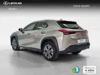 Usado Lexus UX 300e Business Edition 150 kW (204 CV) 2022 Plateado SUV