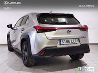 usado Lexus UX 250h Business Navigation 2WD