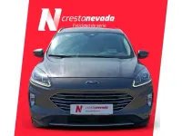 Usado Ford Kuga Titanium 225 CV (165 kW) 2021 Gris / plata SUV