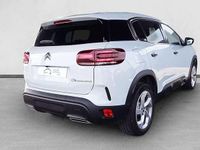 Usado Citroën C5 Aircross 145 CV (106 kW) 2025 SUV