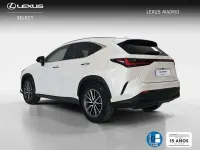 Usado Lexus NX300h Executive Line 306 CV (225 kW) 2022 Blanco SUV