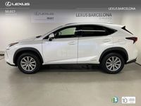 usado Lexus NX300h Business Navigation 2wd