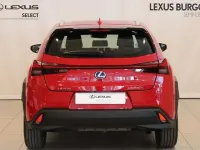 Usado Lexus UX Business Edition 184 CV (135 kW) 2021 Rojo SUV