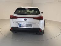Usado Lexus UX Business Edition 184 CV (135 kW) 2022 Blanco SUV