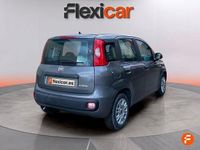 Usado Fiat Panda Cross Cross 85 CV (62 kW) 2021 Gris Utilitario