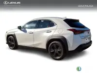 Nuevo Lexus UX 198 CV (145 kW) 2026 Blanco SUV