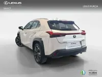 Brugt Lexus UX 250h 184 HK (135 kW) 2022 Hvid SUV