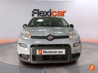 Usado Fiat Panda 71 CV (52 kW) 2023 Gris Utilitario