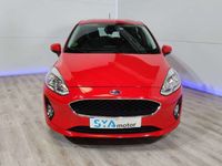 usado Ford Fiesta 1.0 EcoBoost S/S Trend+ 100