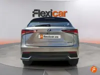 Usado Lexus NX300h Business Edition 197 CV (144 kW) 2020 Gris SUV