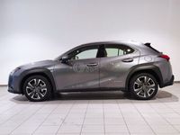 usado Lexus UX 250h Lury 2wd