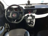 Usado Fiat Panda Cross Cross 71 CV (52 kW) 2021 Azul Utilitario