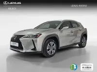 Usado Lexus UX 300e Business Edition 150 kW (204 CV) 2022 Gris SUV