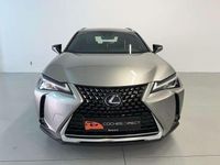 Usado Lexus UX 250h Executive Line 184 CV (135 kW) 2022 Beige SUV