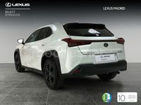 Imagen 2