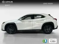 Usado Lexus UX 199 CV (146 kW) 2025 Blanco SUV
