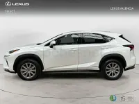Usado Lexus NX300h Business Edition 197 CV (144 kW) 2019 Blanco SUV