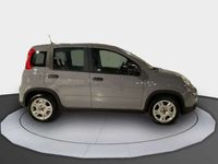 usado Fiat Panda 1.0 MHEV S/S 70CV 5P