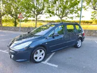Usado Peugeot 307 110 CV (80 kW) 2006 Azul Familiar