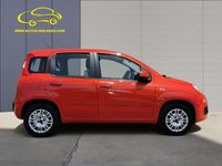 Usado Fiat Panda Lounge 69 HP (50 kW) 2020 Vermelho Citadino