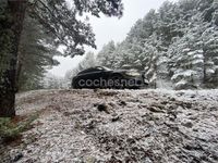 Usado Audi A6 313 CV (230 kW) 2013 Beige Familiar