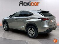 Usado Lexus NX300h Business Edition 197 CV (144 kW) 2017 Gris SUV
