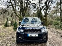Usado Land Rover Range Rover Vogue 340 CV (250 kW) 2015 Negro SUV