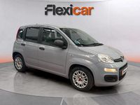 Usado Fiat Panda 71 CV (52 kW) 2022 Gris Utilitario