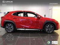 usado Lexus UX 250h Executive 2WD