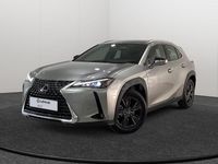 Usado Lexus UX 199 CV (146 kW) 2025 Gris / plata SUV