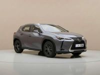Usado Lexus UX 250h Luxury Line 184 CV (135 kW) 2019 Gris SUV