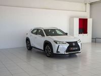 usado Lexus UX 2.0 250H EXECUTIVE AUTO 184 5P