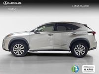 Usado Lexus NX300h Business Edition 197 CV (144 kW) 2021 Gris SUV