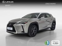 Usado Lexus UX Business Edition 184 CV (135 kW) 2022 Plateado SUV