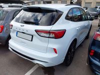 Usado Ford Kuga ST-Line X 150 CV (110 kW) 2022 Blanco SUV