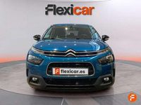 Usado Citroën C4 Cactus Feel 99 CV (72 kW) 2019 Azul Utilitario