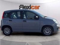 Usado Fiat Panda 71 CV (52 kW) 2022 Gris Berlina